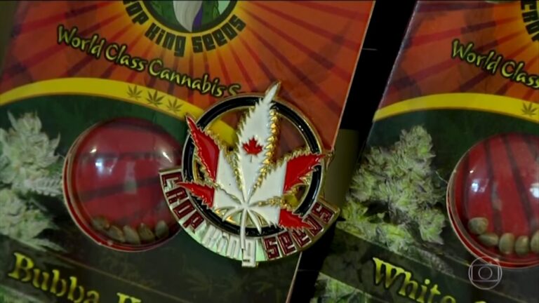 Canadá legaliza la marihuana para uso recreativo