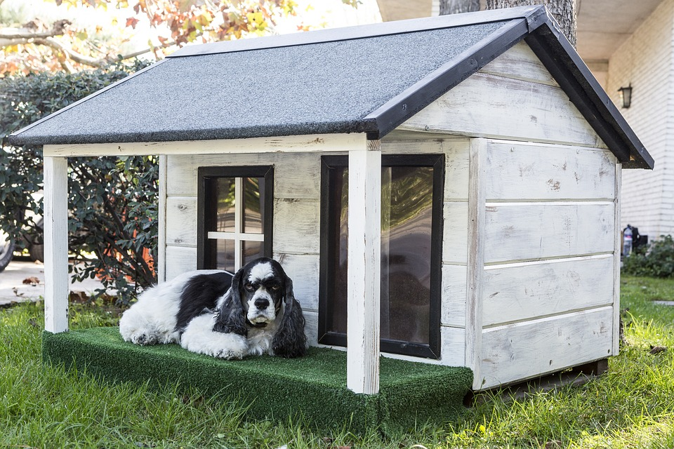 Las mejores casas para perros de todos los tamaños